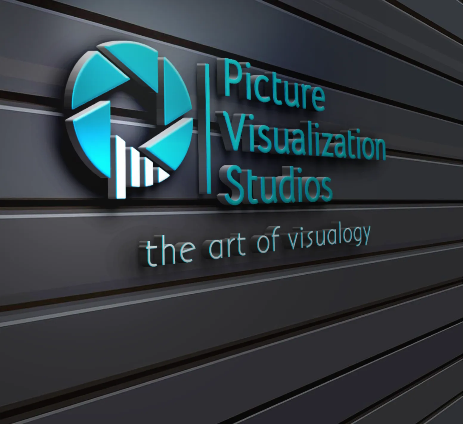 logo of picture visualization studios